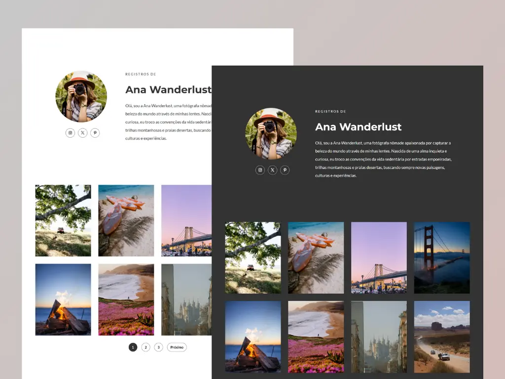 criação de site com divi theme
